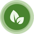 ”Green Report