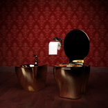 Luxury Toilet