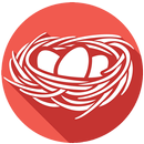 Nest VPN - VPN for Free Fire APK