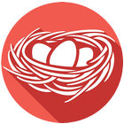 Nest VPN icono