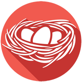 Nest VPN icono