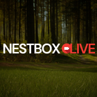 Nest Box Live simgesi