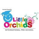 Little Orchids APK
