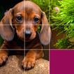 Jigsaw Puzzles: HD Puzzle Game