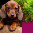 Jigsaw Puzzles: HD Puzzle Game APK