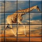 Mind games, puzzle games 图标