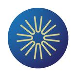 NEQSOL Academy