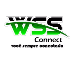 WSS PRO APK download