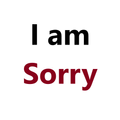 I Am Sorry Message