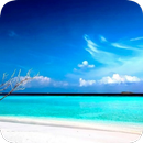 바다와 해변 배경 화면 APK