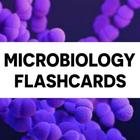 Microbiology Flashcards иконка