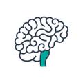 Clinical Neuroanatomy