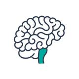 Clinical Neuroanatomy أيقونة