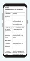 Clinical Neuroanatomy Screenshot 3