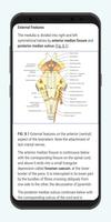 Clinical Neuroanatomy スクリーンショット 2