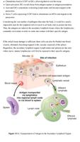 USMLE Microbiology Notes スクリーンショット 3