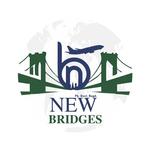 New Bridges icon