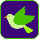 APK Bird Shooter Game