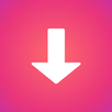 InSaver: Reels & Story Saver APK