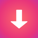 InSaver: Reels & Story Saver APK
