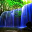 live backgrounds biểu tượng