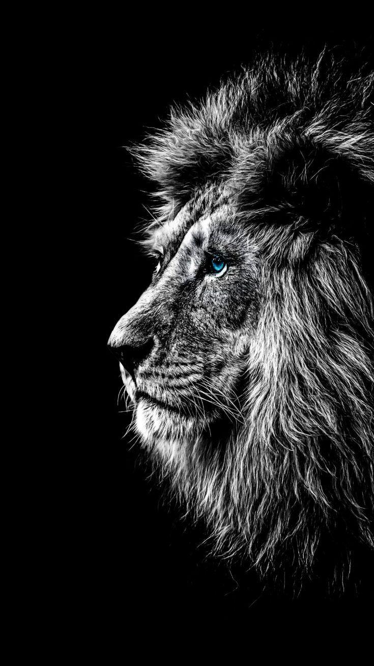 Tải xuống APK black wallpaper 4k cho Android