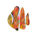 Amazing fish wallpapers