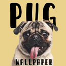 pug wallpaper APK