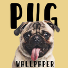 pug wallpaper icon