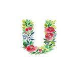 Featured images of the letter U