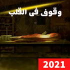 اغنية وقوف من القلب | مسلم 2021 icône