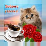 С добрым утром и днем Картинки