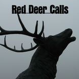 Red Deer Calls