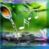 Relaxing Music APK