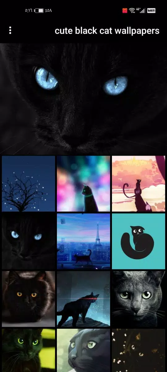 cute black cat wallpapers APK for Android Download cute black cat wallpapers APK for Android Download