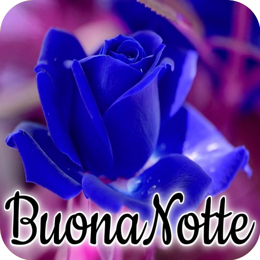 Buonanotte 2023