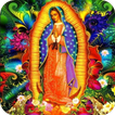 Virgen de Guadalupe Imagenes иконка
