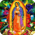 Virgen de Guadalupe Imagenes