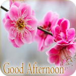 Good Afternoon Images 2024 icon
