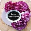 Good Morning Love أيقونة