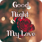 Good Night My Love icône