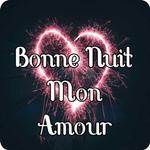 Bonne Nuit Mon Amour icon