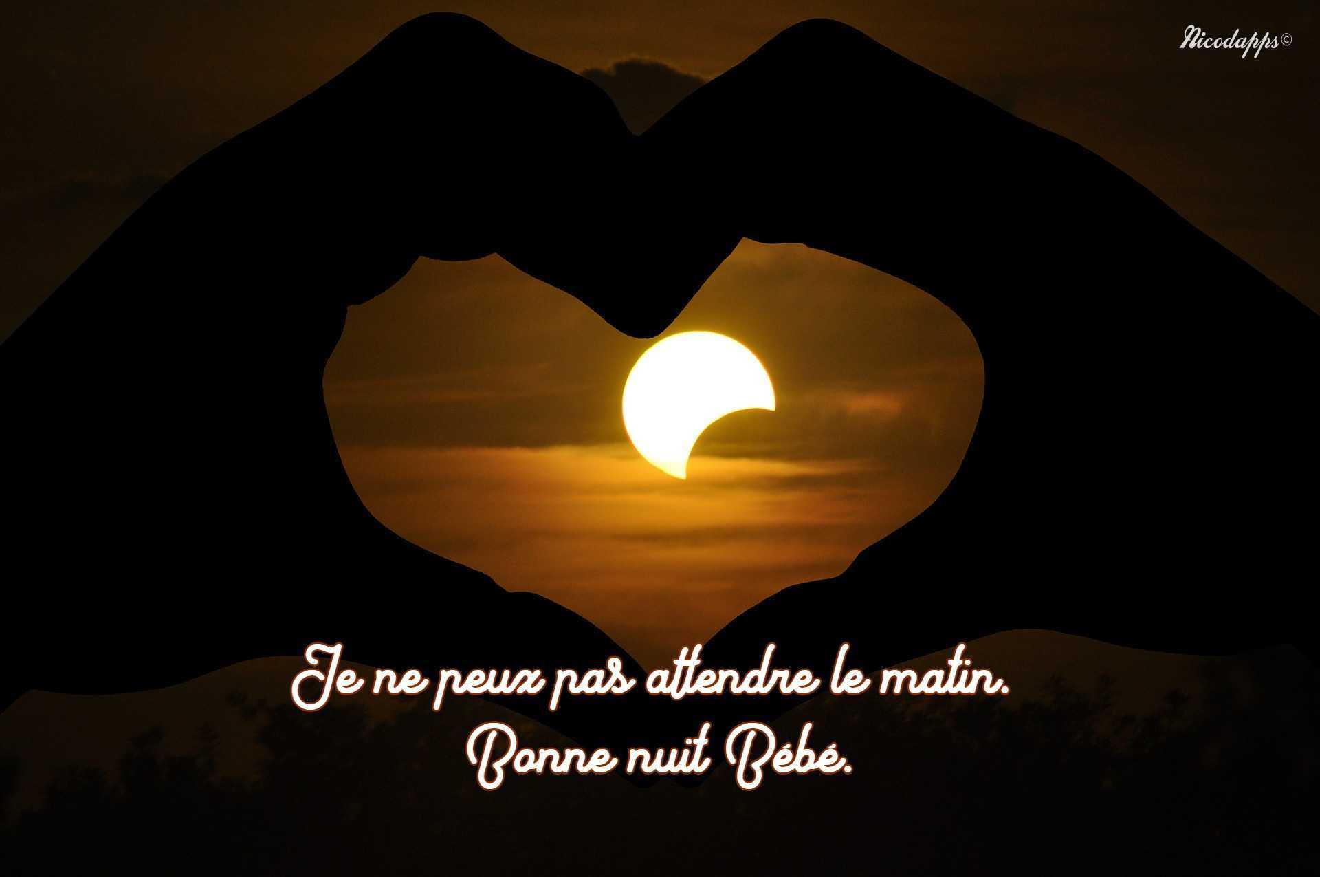 Que significa mon amour Que significa mon amour
