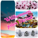 APK Willkommen jeden Monat
