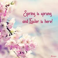 Happy Easter Wishes اسکرین شاٹ 1