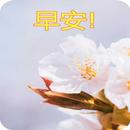 早安祝福 APK