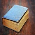 Good News Bible