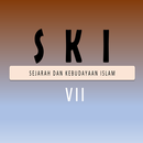 SKI vii APK