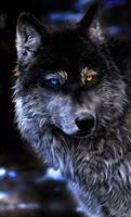 Wolf Wallpapers 4K gönderen