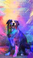 Dog Wallpaper Poster